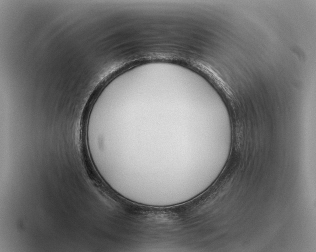 X0000116680439201001041152