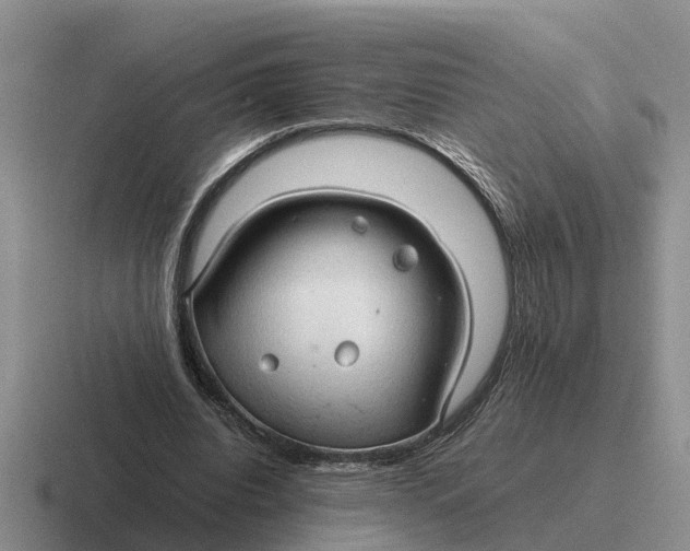 X0000116680440201001041152