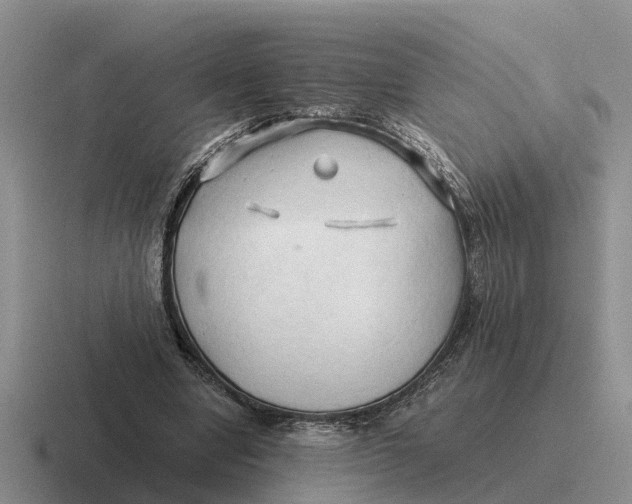 X0000116680442201001041152