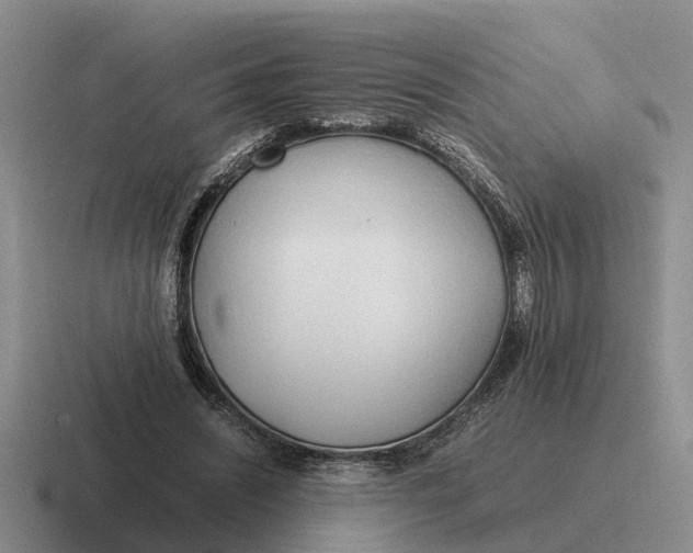 X0000116680444201001041152