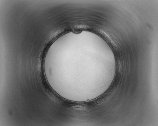 X0000116680447201001041152