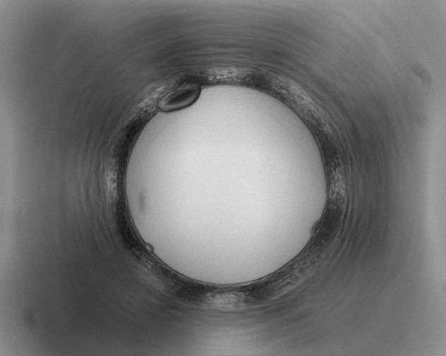 X0000116680452201001041152