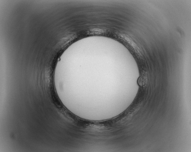 X0000116680455201001041152