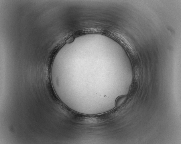 X0000116680457201001041152