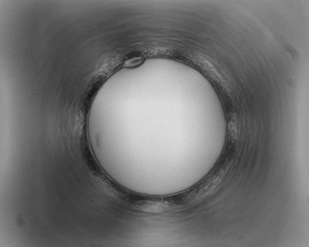 X0000116680458201001041152