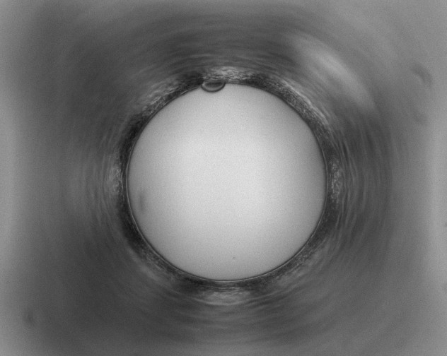 X0000116680459201001041152