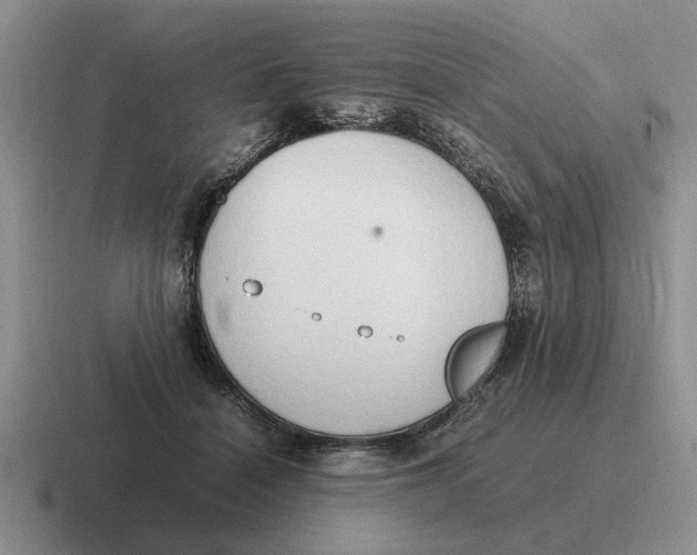 X0000116680460201001041152