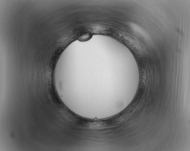 X0000116680461201001041152