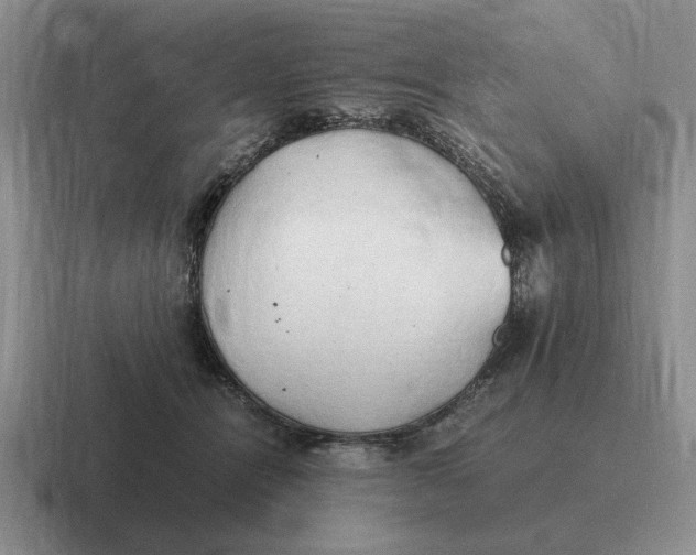 X0000116680464201001041152