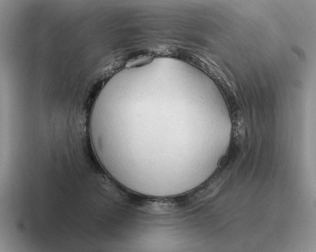 X0000116680466201001041152