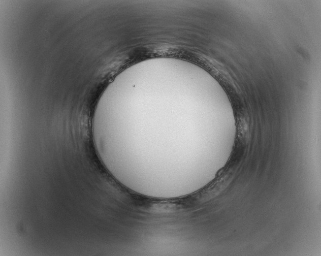 X0000116680470201001041152