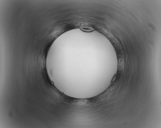 X0000116680474201001041152