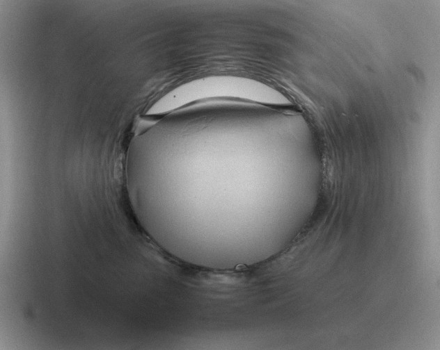 X0000116680475201001041152