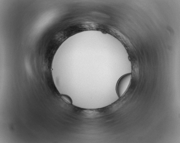 X0000116680477201001041152