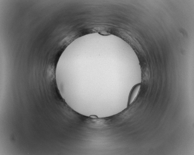 X0000116680478201001041152