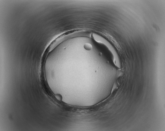 X0000116680484201001041152