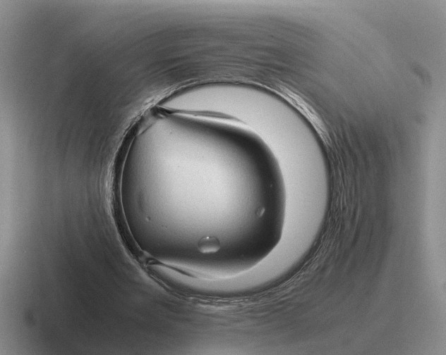 X0000116680485201001041152