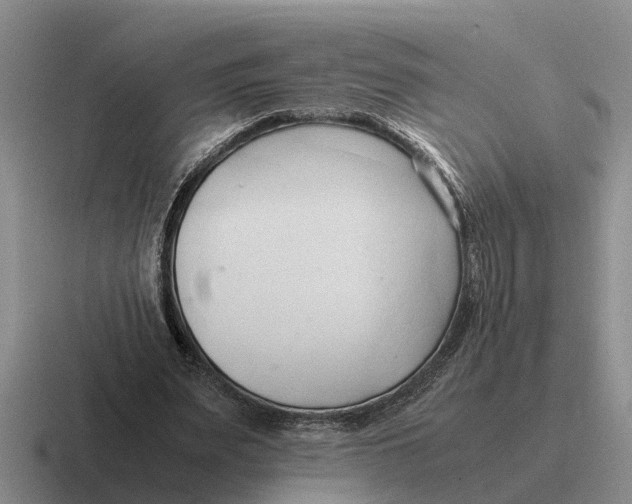 X0000116680487201001041151