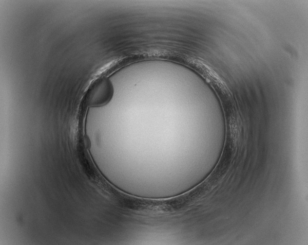 X0000116680488201001041151