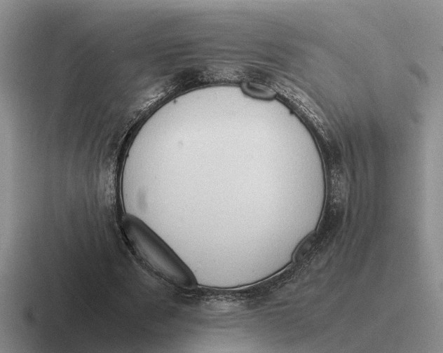 X0000116680489201001041151