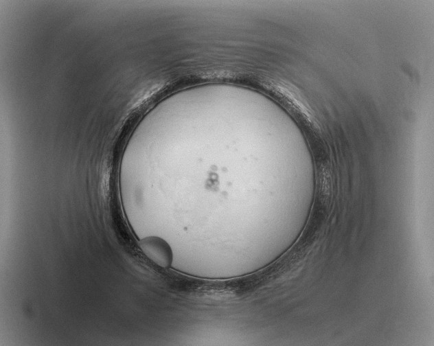 X0000116680491201001041151