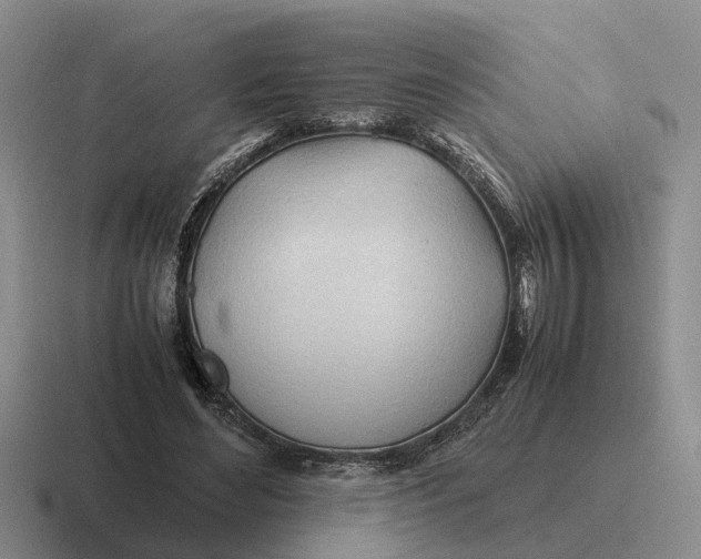 X0000116680492201001041151