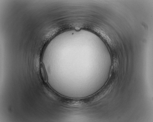 X0000116680493201001041151