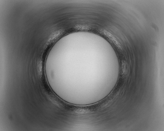 X0000116680494201001041151