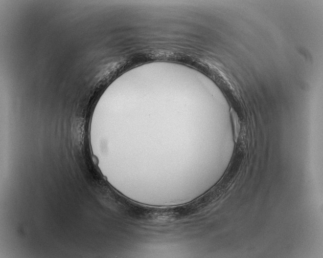 X0000116680495201001041151