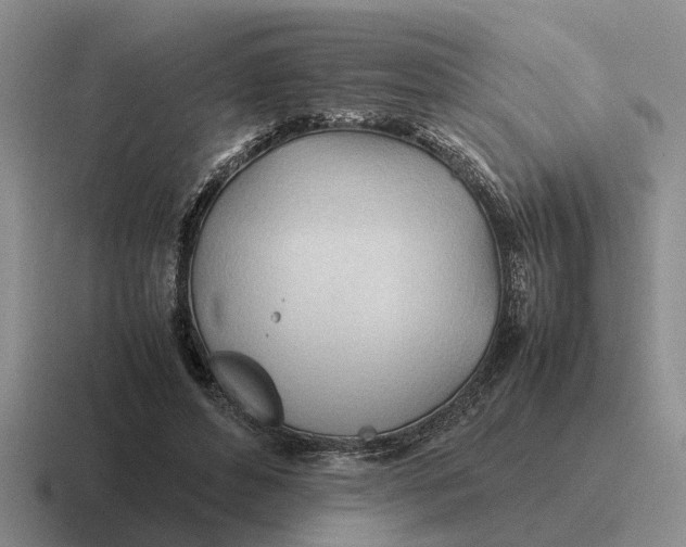 X0000116680496201001041151