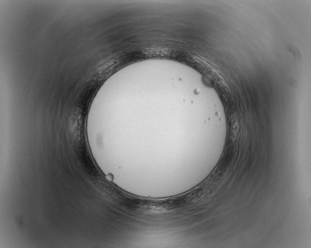 X0000116680498201001041151