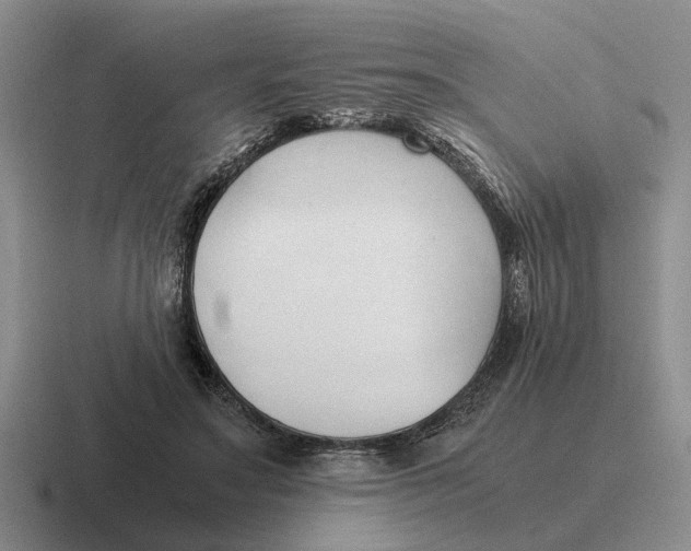 X0000116680499201001041151