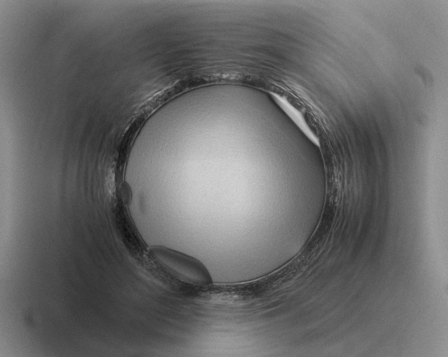 X0000116680500201001041151