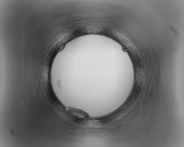 X0000116680501201001041151