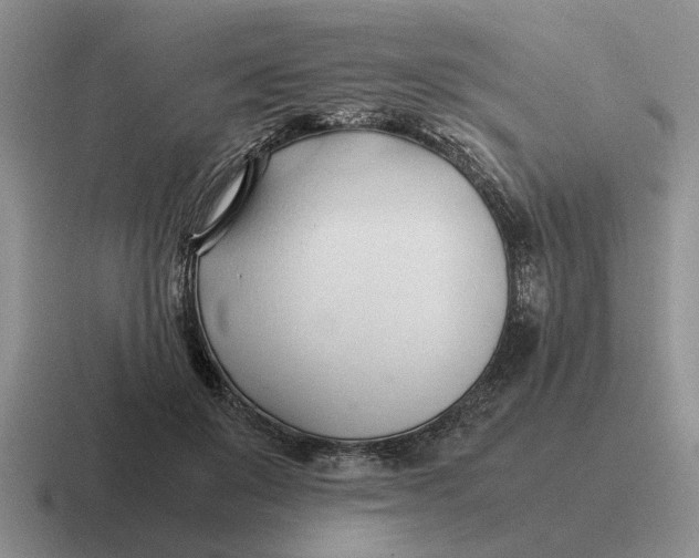 X0000116680503201001041151