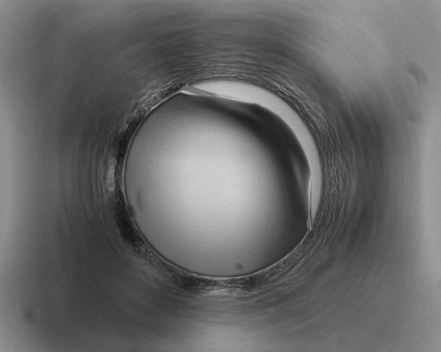 X0000116680504201001041151