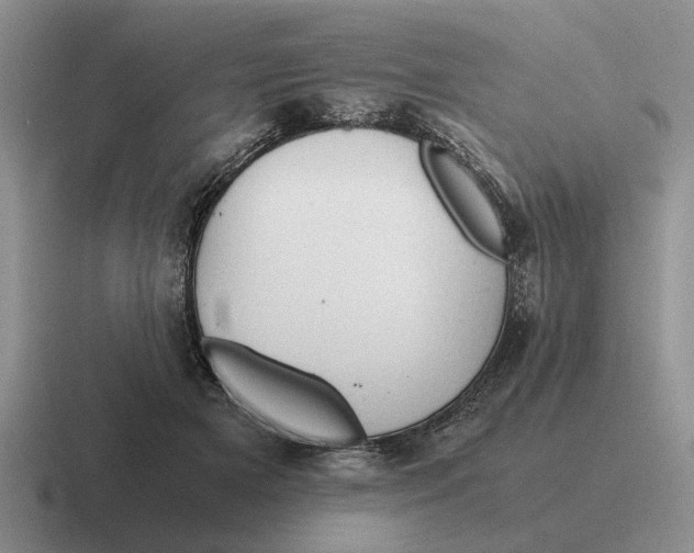 X0000116680505201001041151