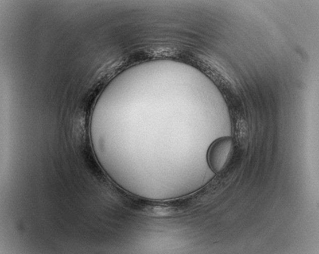 X0000116680506201001041151