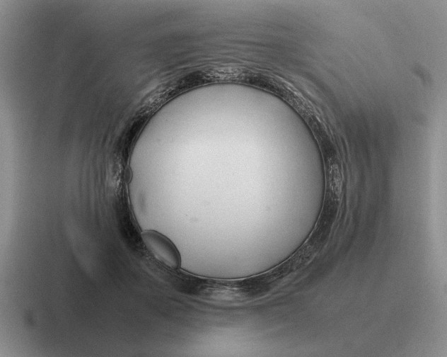 X0000116680507201001041151