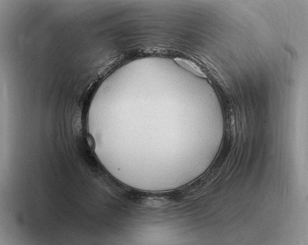 X0000116680508201001041151