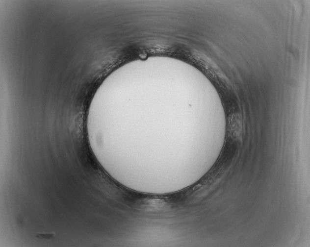 X0000116680509201001041151