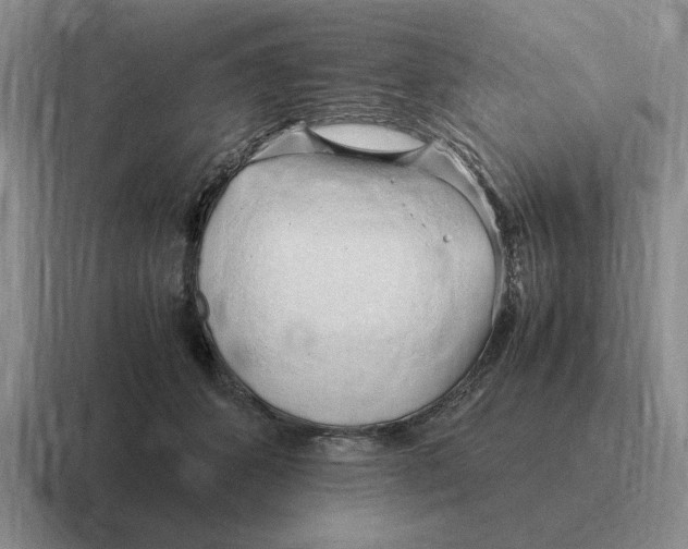 X0000116680512201001041151