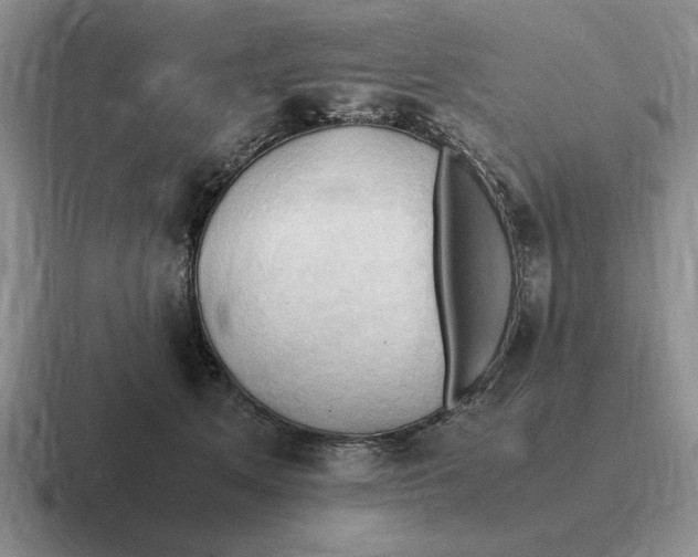 X0000116680513201001041151