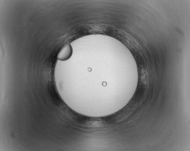 X0000116680514201001041151