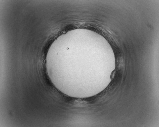 X0000116680515201001041151