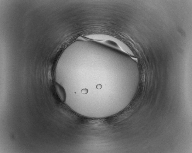 X0000116680516201001041151