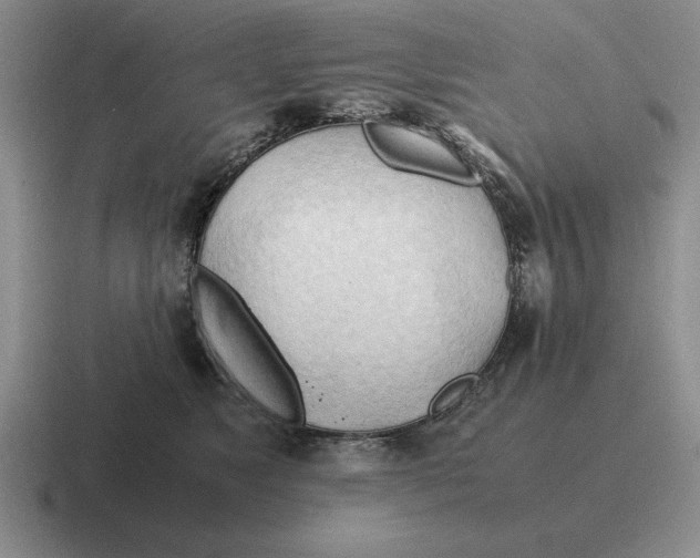 X0000116680517201001041151