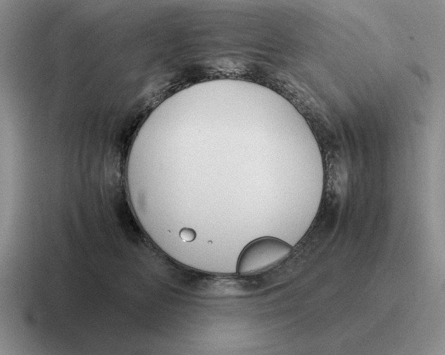 X0000116680518201001041151