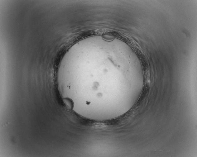 X0000116680519201001041151