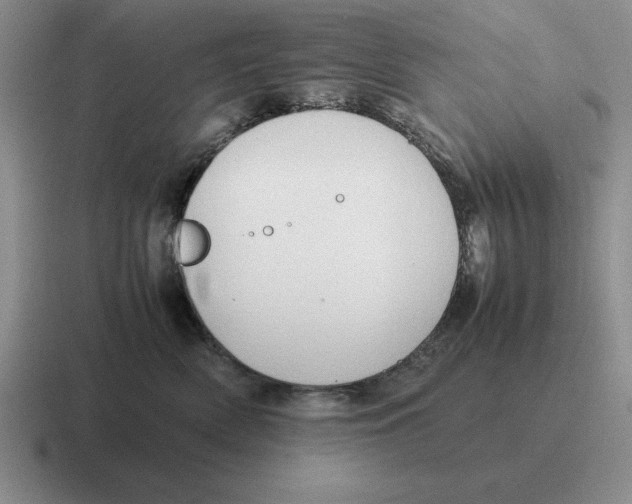 X0000116680522201001041151